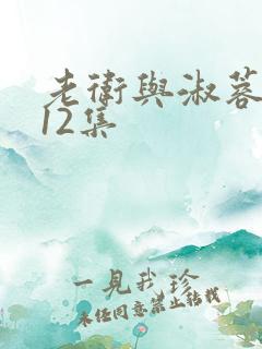 老卫与淑蓉1一12集