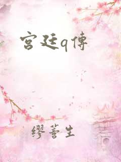 宫廷q传