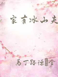 家有冰山夫