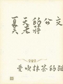 夏天的公交车老吴老蒋