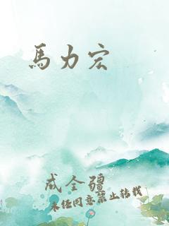 马力宏