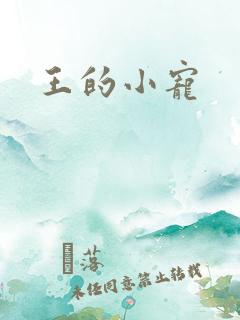 王的小宠