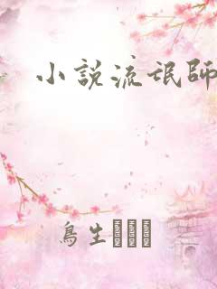 小说流氓师表