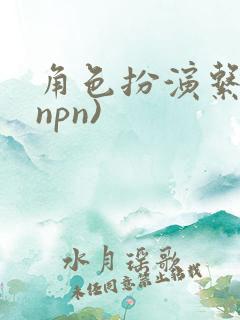 角色扮演系统(npn)