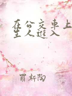 在公交车上被陌生人进入