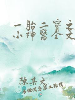 一胎二宝之弃妃小神医全文免费阅读