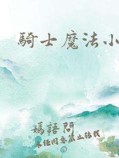 骑士魔法小说