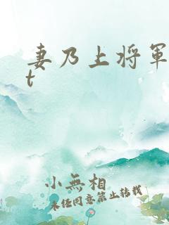 妻乃上将军txt