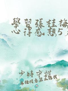 学习张桂梅事迹心得感想5篇