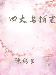 四大名捕震关东