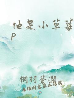 他是小草莓pop