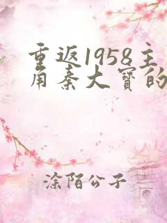重返1958主角秦大宝的小说