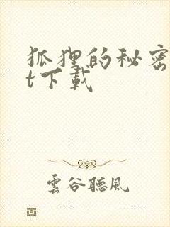 狐狸的秘密txt下载