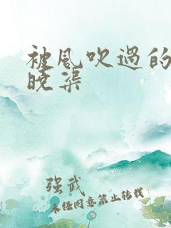 被风吹过的夏天晓渠