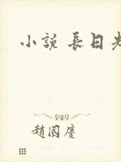 小说 长日光阴