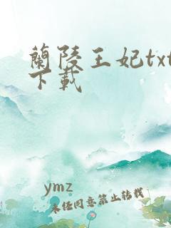兰陵王妃txt下载