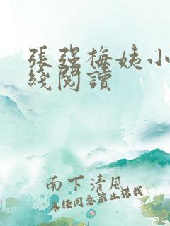 张强梅姨小说在线阅读