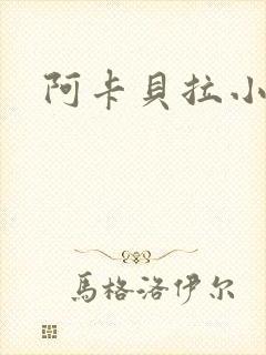 阿卡贝拉小说