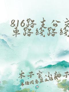 816路支公交车路线路线查询
