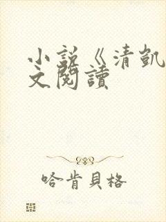 小说《清凯》全文阅读