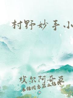 村野妙手小刁民