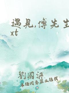 遇见,傅先生txt