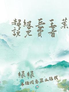 超级兵王叶谦小说免费看
