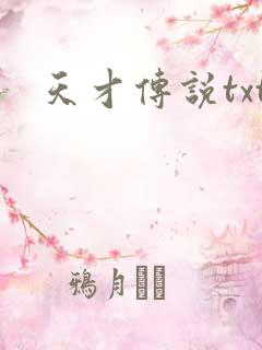 天才传说txt