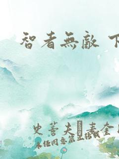 智者无敌 下载