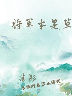 将军本是草头王
