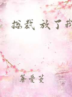 总裁 放了我