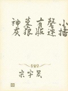 神墓有声小说大灰狼版连播