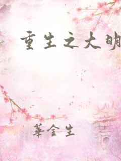 重生之大明王朝