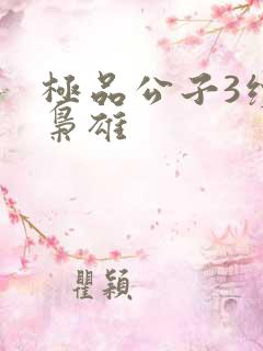 极品公子3续世枭雄