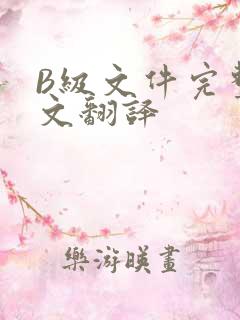 B级文件完整中文翻译