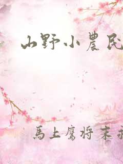 山野小农民