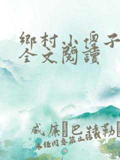 乡村小傻子小说全文阅读