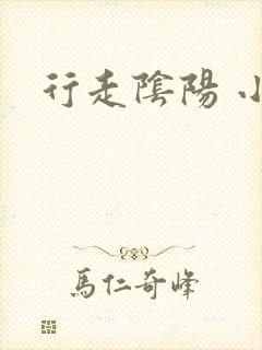 行走阴阳 小说