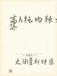 高h纯肉辣文合集