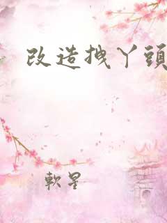 改造拽丫头
