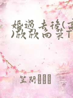 婚过去后(高干)欣欣向荣TXT下载