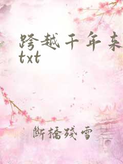 跨越千年来爱你txt