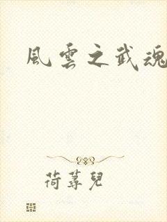 风云之武魂