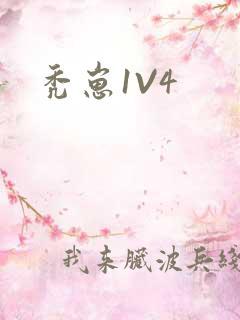 秃崽1V4