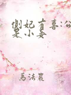 侧妃有喜:公主是小妾