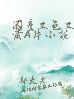 国产又色又爽又黄A片小说