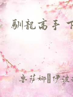 驯龙高手 下载