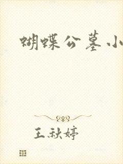 蝴蝶公墓小说