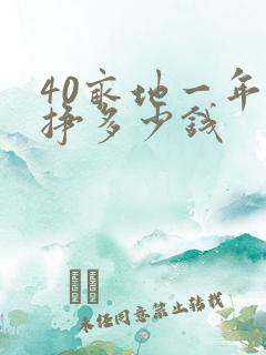 40亩地一年能挣多少钱