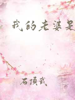 我的老婆是太妹